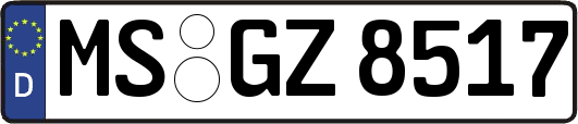 MS-GZ8517