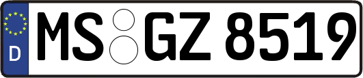 MS-GZ8519