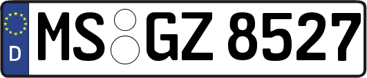 MS-GZ8527