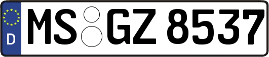 MS-GZ8537