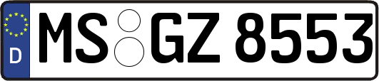 MS-GZ8553