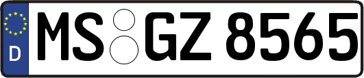 MS-GZ8565