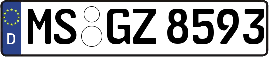 MS-GZ8593