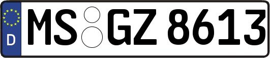 MS-GZ8613
