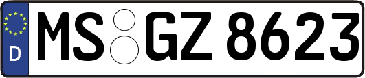 MS-GZ8623