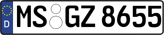 MS-GZ8655