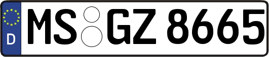 MS-GZ8665