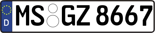 MS-GZ8667