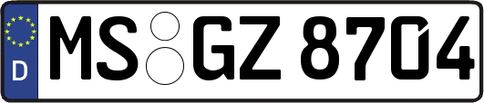 MS-GZ8704