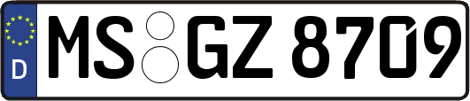 MS-GZ8709