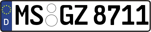 MS-GZ8711