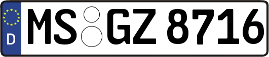 MS-GZ8716