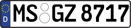 MS-GZ8717