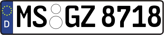 MS-GZ8718