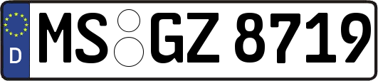 MS-GZ8719