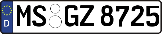 MS-GZ8725