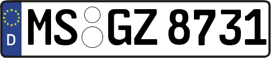 MS-GZ8731