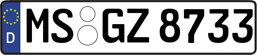MS-GZ8733