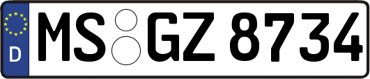 MS-GZ8734