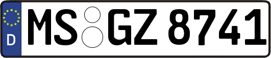 MS-GZ8741