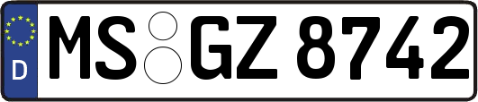 MS-GZ8742