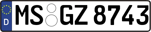 MS-GZ8743