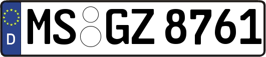 MS-GZ8761