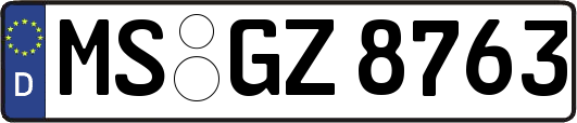 MS-GZ8763
