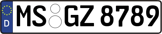 MS-GZ8789