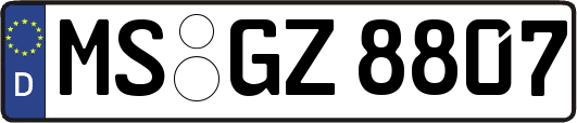 MS-GZ8807