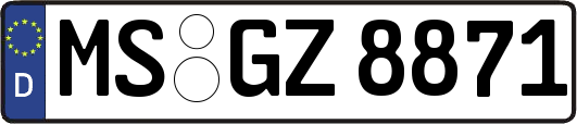 MS-GZ8871