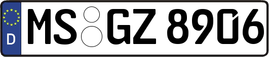 MS-GZ8906