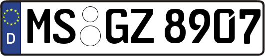 MS-GZ8907
