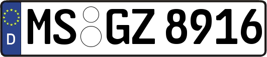 MS-GZ8916