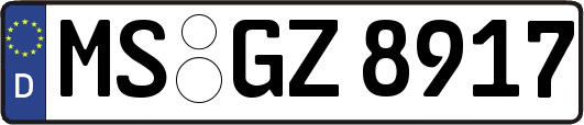 MS-GZ8917