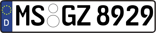 MS-GZ8929