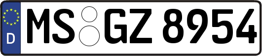 MS-GZ8954