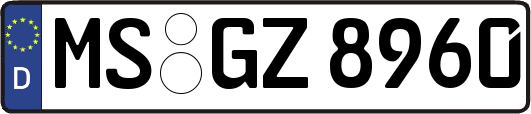 MS-GZ8960