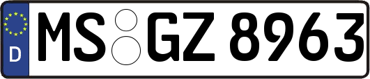 MS-GZ8963