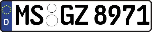 MS-GZ8971