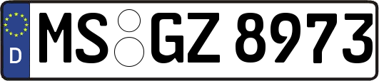 MS-GZ8973