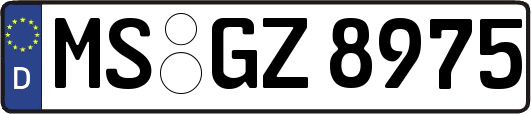 MS-GZ8975