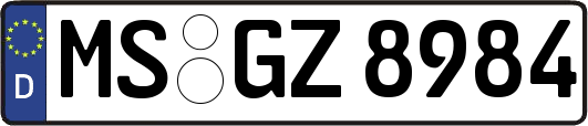MS-GZ8984
