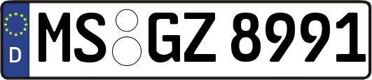 MS-GZ8991
