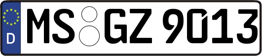 MS-GZ9013