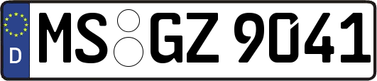MS-GZ9041
