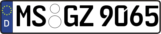 MS-GZ9065