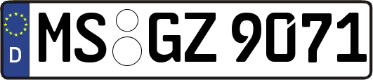 MS-GZ9071