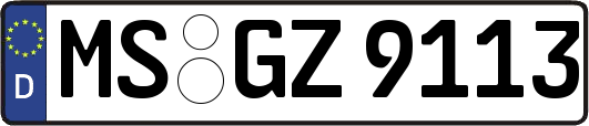 MS-GZ9113