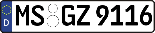 MS-GZ9116